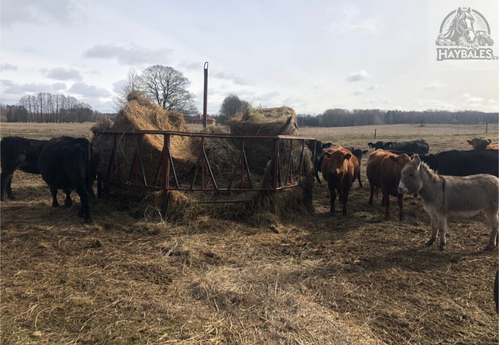 haybales-bydlo